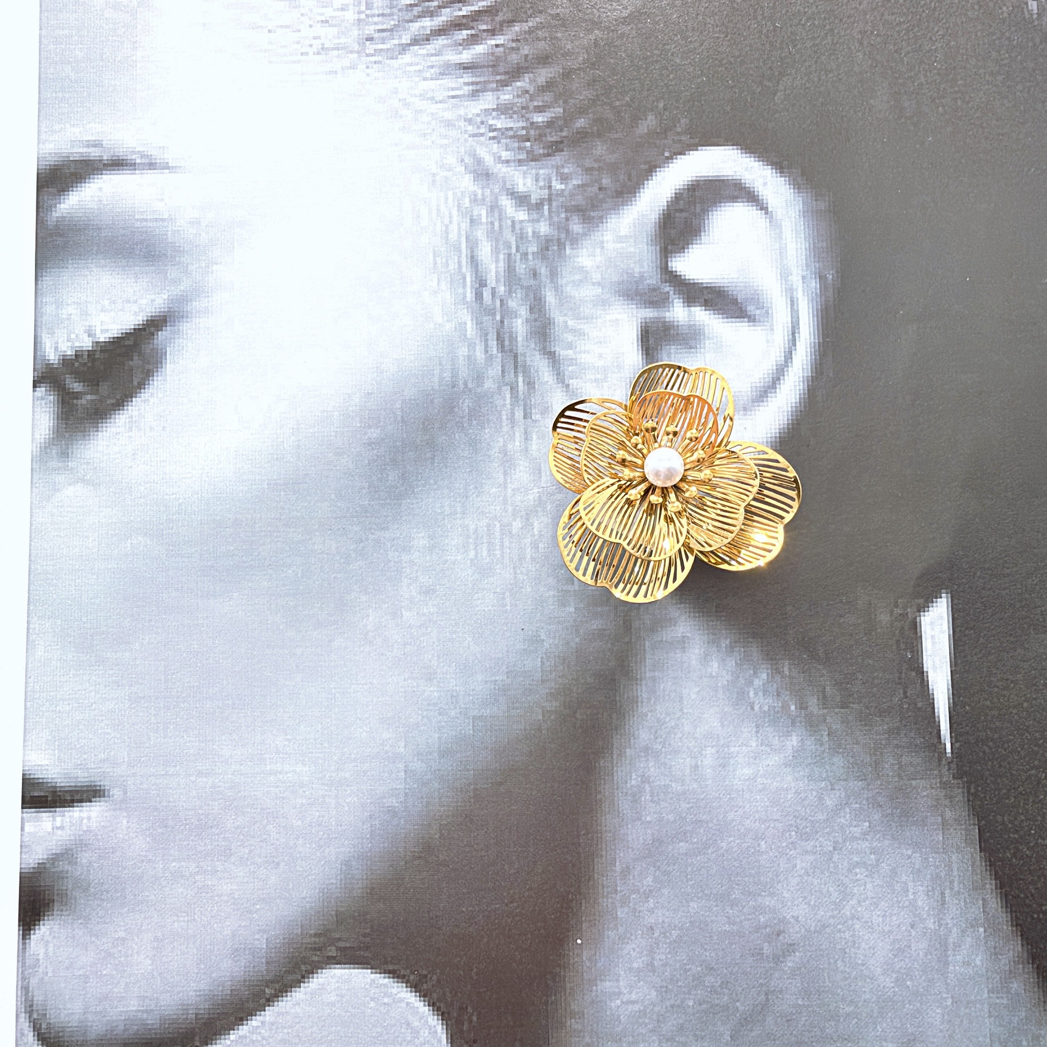 Fily Gold - Imagen 2